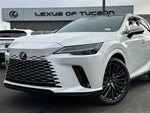 2026 Lexus RX Luxury