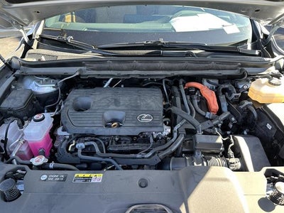 2024 Lexus RX Premium+