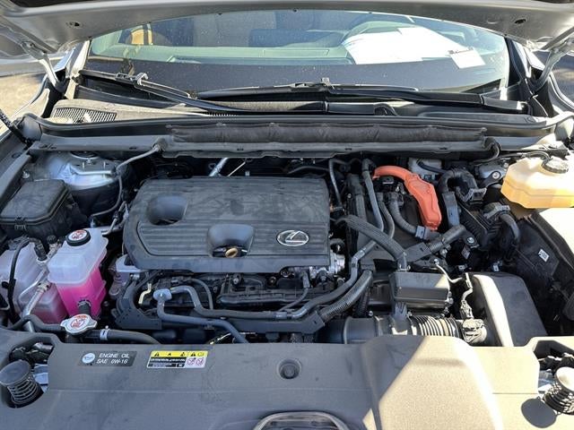 2024 Lexus RX Premium+