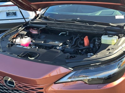 2026 Lexus RX Luxury