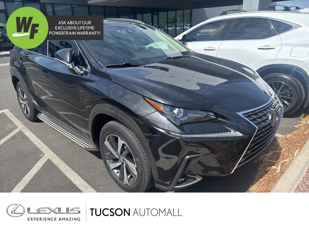 2018 Lexus NX 350 300h AWD's photo