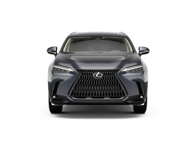 2026 Lexus NX 350h Luxury