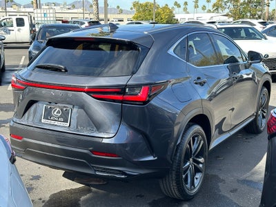 2026 Lexus NX Luxury