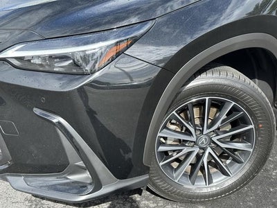 2023 Lexus NX 350 Premium