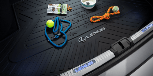 Lexus Accessories