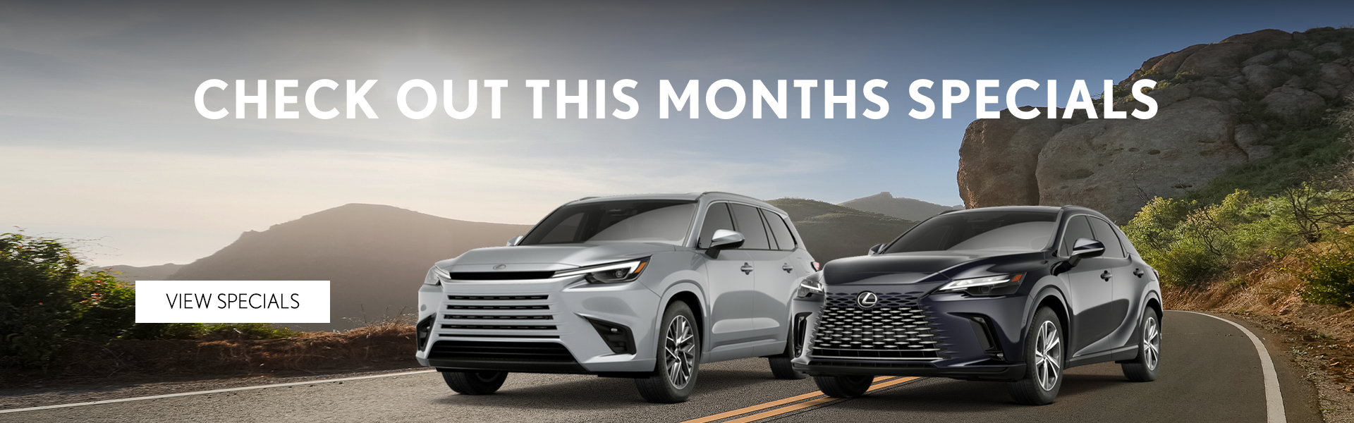 Monthly Specials
