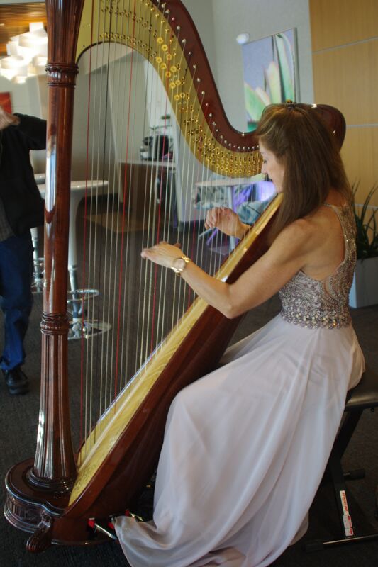 Lexus of Tucson Auto Mall in Tucson AZ