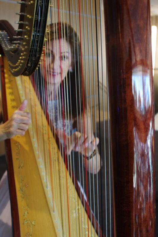 Lexus of Tucson Auto Mall in Tucson AZ